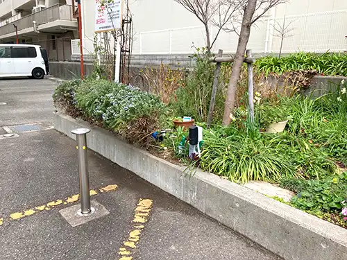 神戸市中央区小野柄住宅駐車場様 / 障害枝剪定 / 施工後