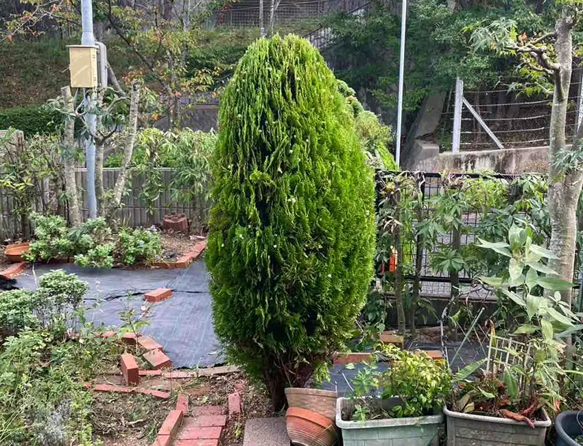 神戸市北区M様邸 / 作業風景1