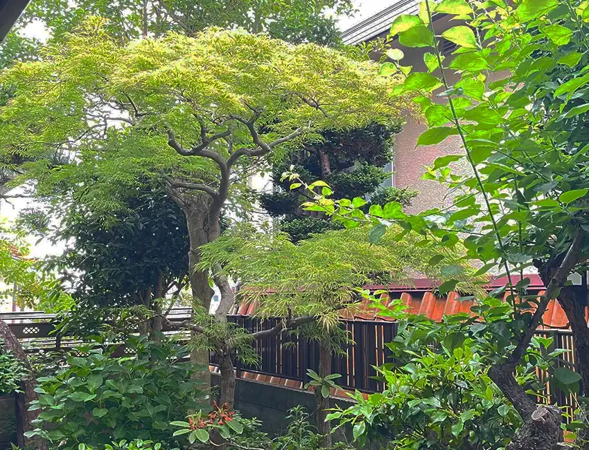 神戸市東灘区K様邸 / 施工前