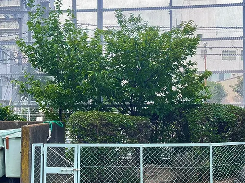 神戸市東灘区青木南住宅 / 施工完了